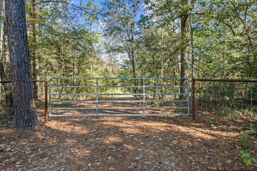 64 Gourd Creek Cemetary Road Huntsville, TX 77340