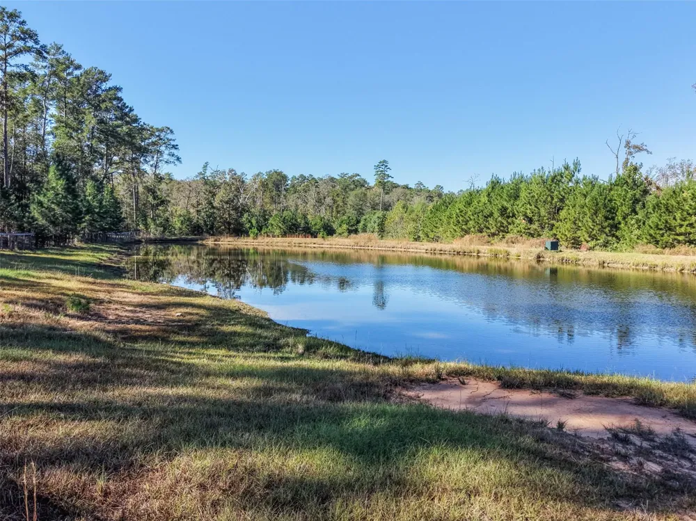 64 Gourd Creek Cemetary Road Huntsville, TX 77340
