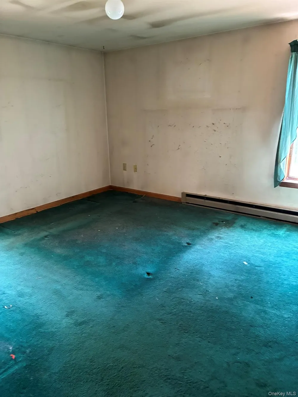 1140 Harvard Road East Branch, NY 13756