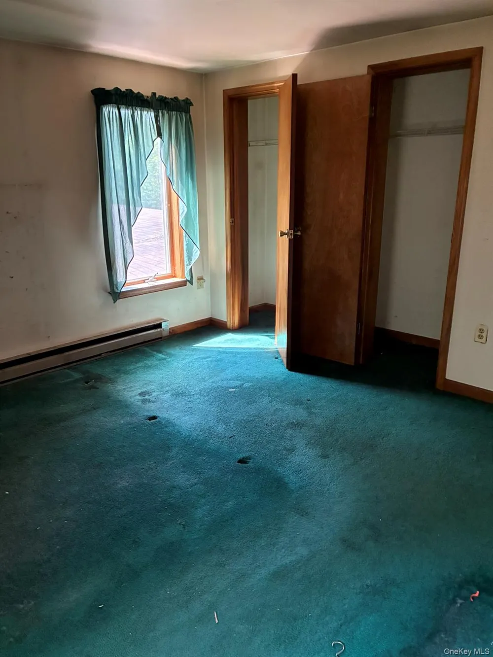 1140 Harvard Road East Branch, NY 13756