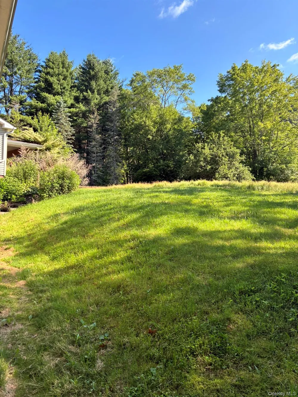 1140 Harvard Road East Branch, NY 13756