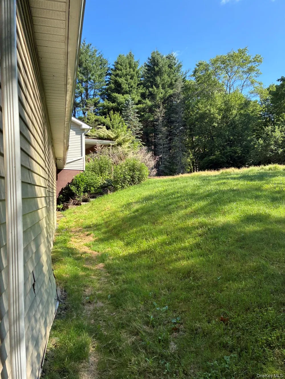 1140 Harvard Road East Branch, NY 13756