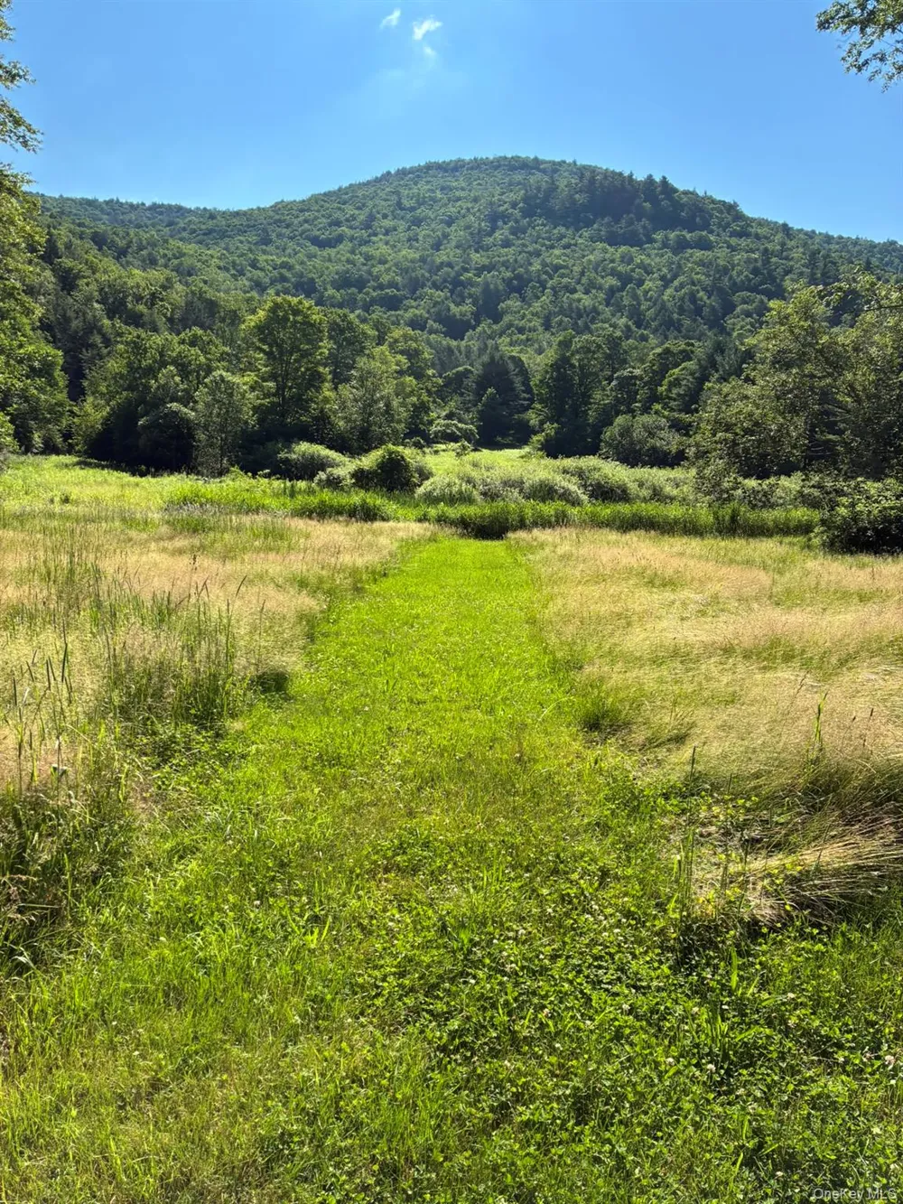 1140 Harvard Road East Branch, NY 13756