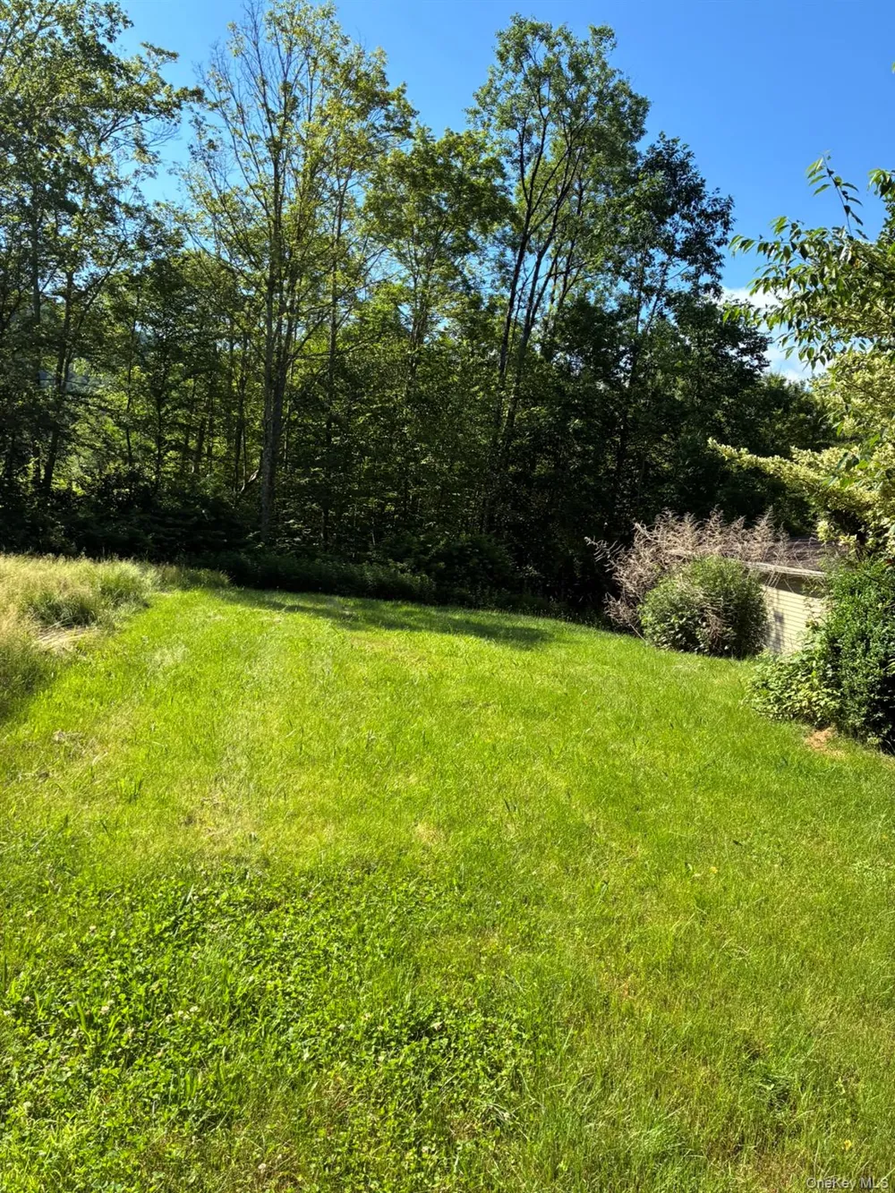 1140 Harvard Road East Branch, NY 13756