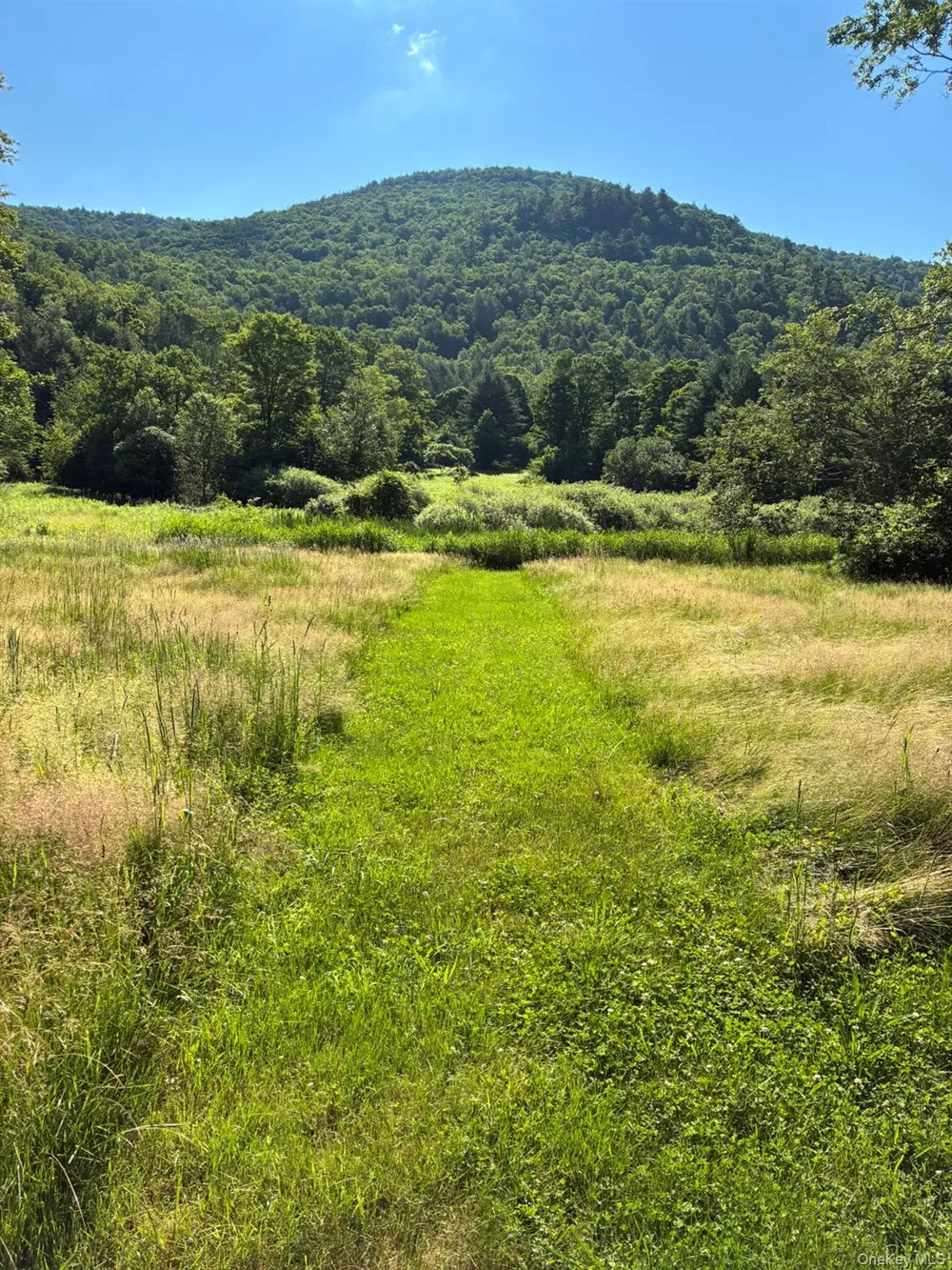 1140 Harvard Road East Branch, NY 13756