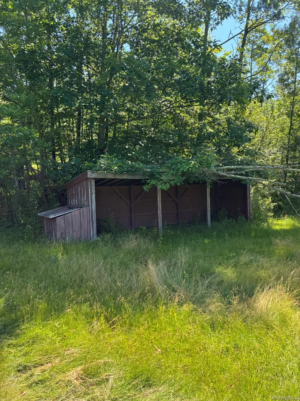 1140 Harvard Road East Branch, NY 13756