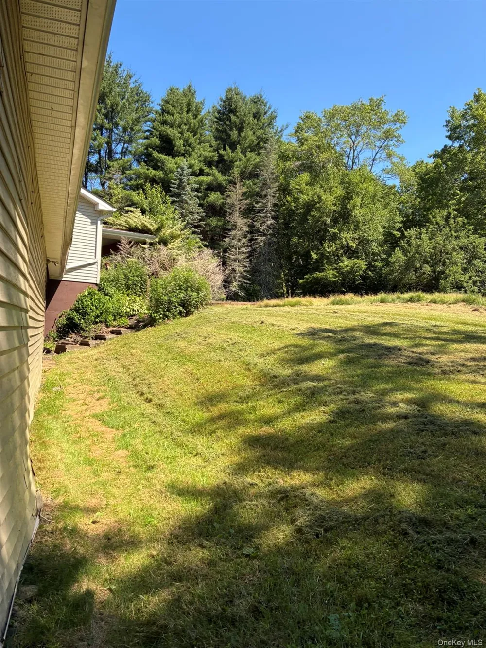 1140 Harvard Road East Branch, NY 13756