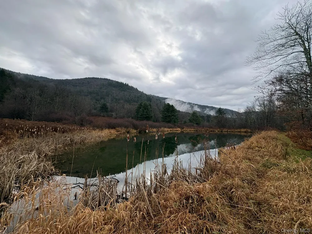 1140 Harvard Road East Branch, NY 13756