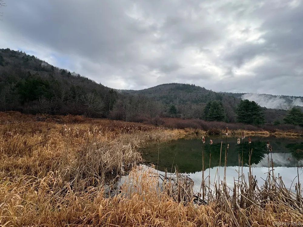 1140 Harvard Road East Branch, NY 13756