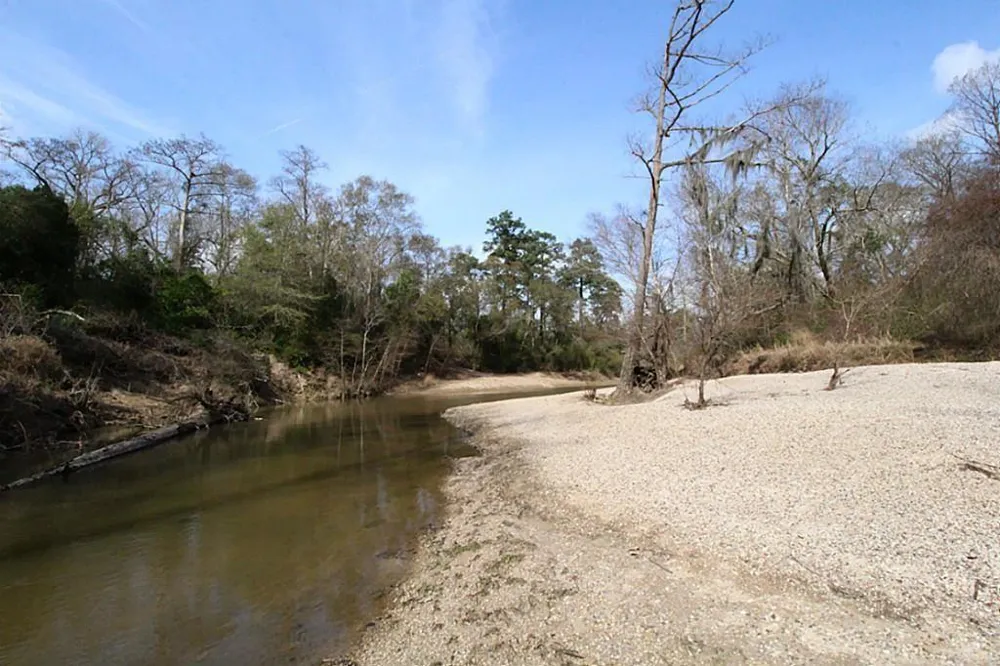 31517 Bohlssen Road New Caney, TX 77357