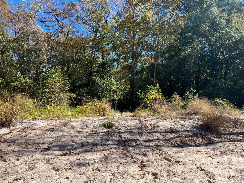 31517 Bohlssen Road New Caney, TX 77357