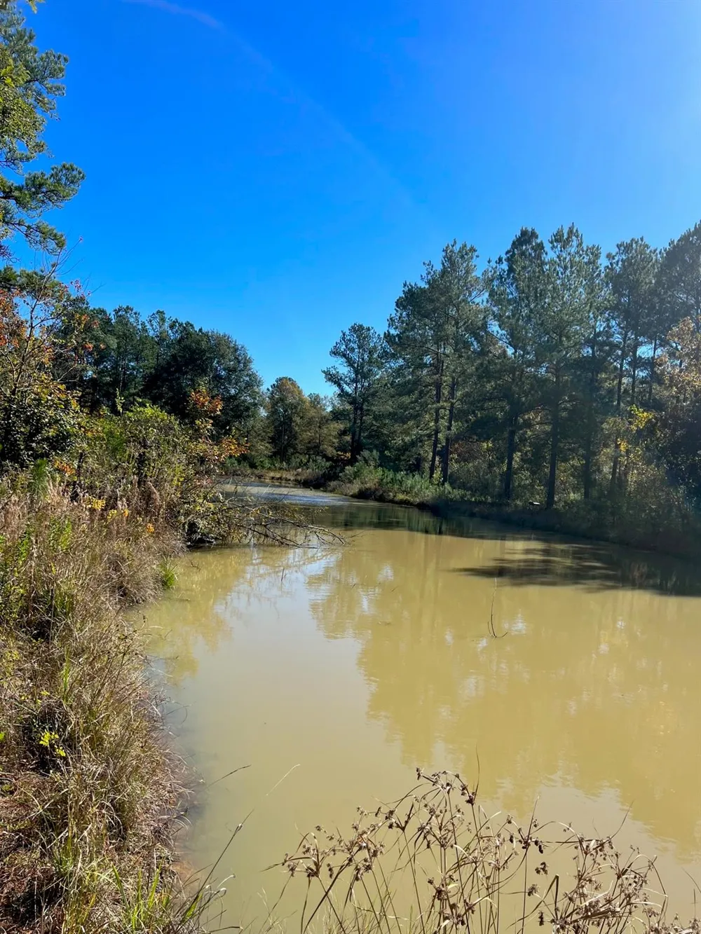 31517 Bohlssen Road New Caney, TX 77357