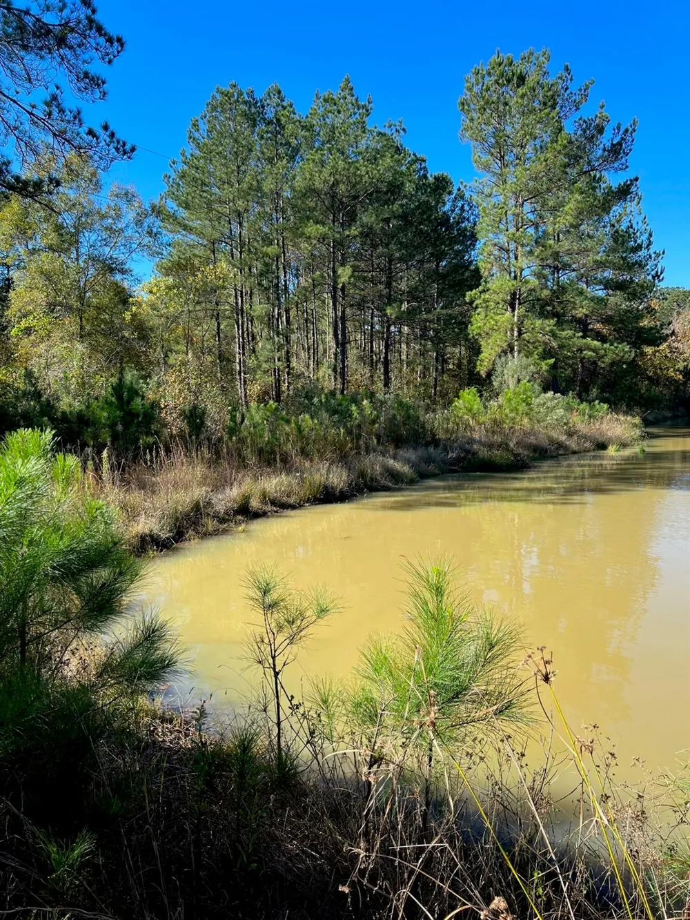 31517 Bohlssen Road New Caney, TX 77357