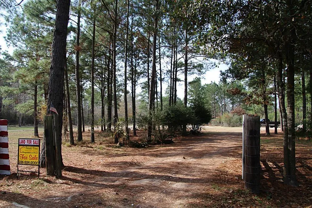 31517 Bohlssen Road New Caney, TX 77357
