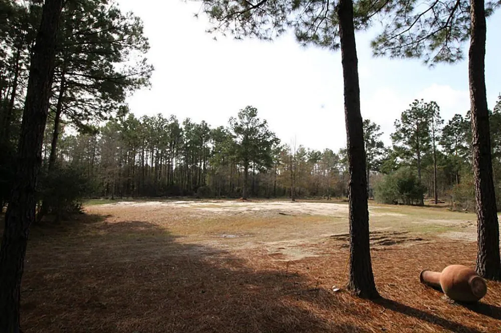 31517 Bohlssen Road New Caney, TX 77357