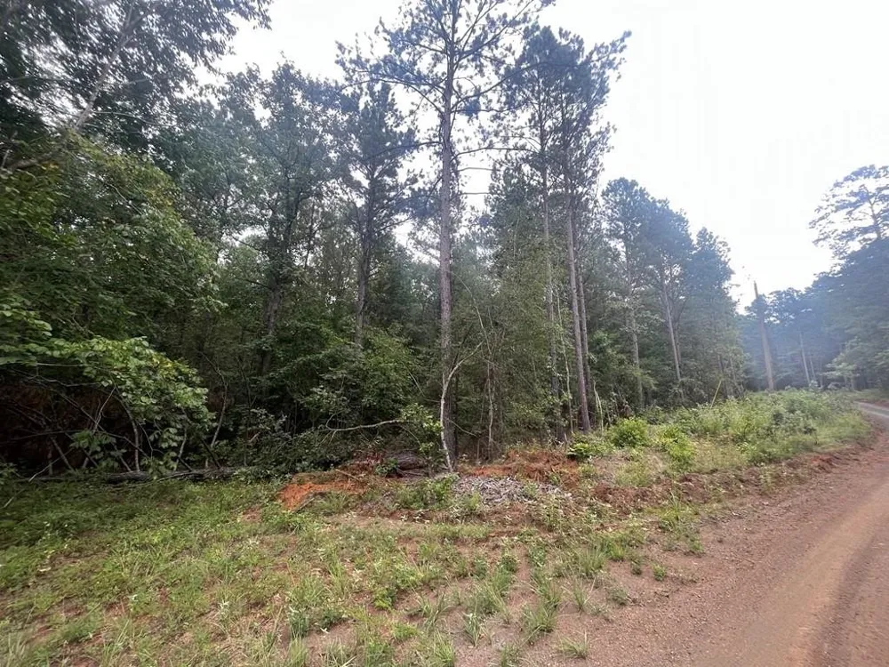 57 Fm 1751 San Augustine, TX 75972