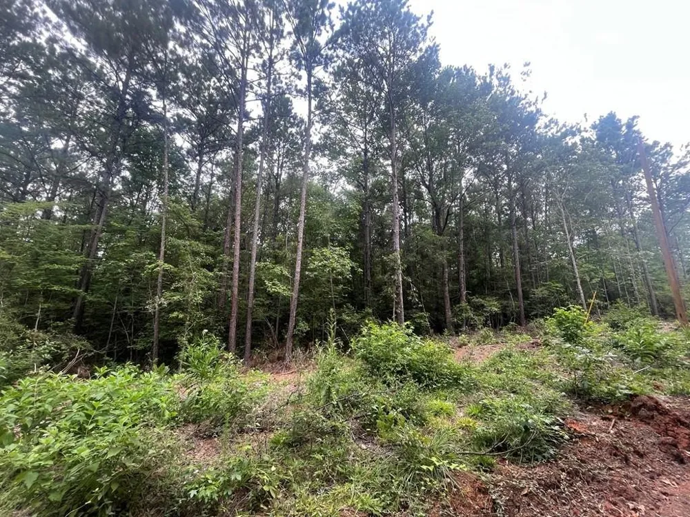57 Fm 1751 San Augustine, TX 75972