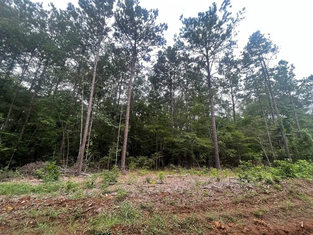 57 Fm 1751 San Augustine, TX 75972