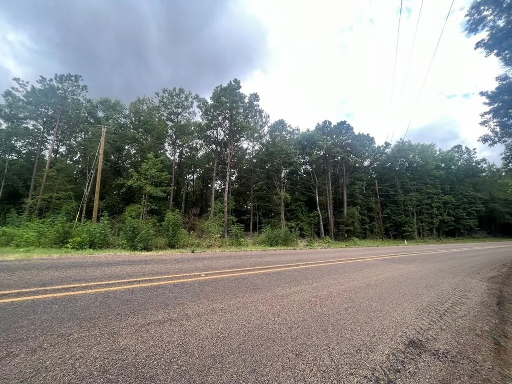 57 Fm 1751 San Augustine, TX 75972