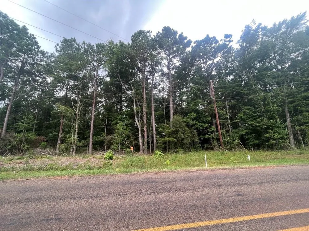 57 Fm 1751 San Augustine, TX 75972