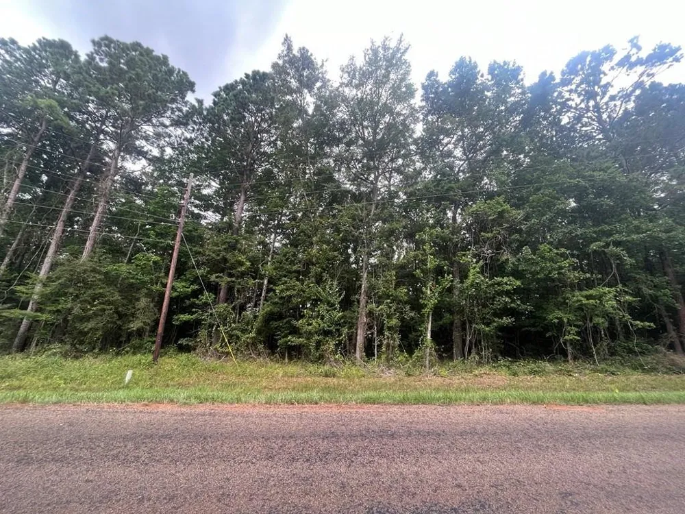 57 Fm 1751 San Augustine, TX 75972