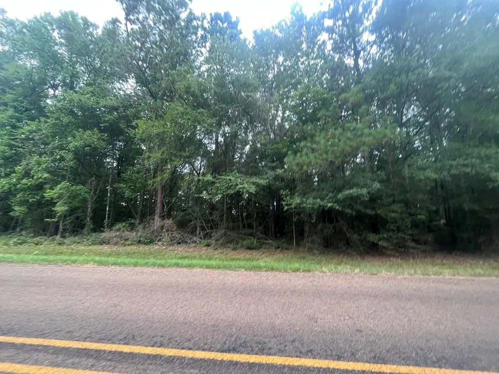 57 Fm 1751 San Augustine, TX 75972