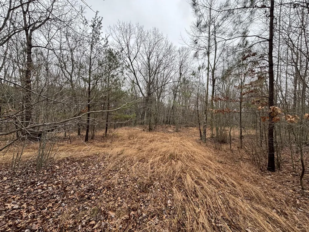 3699 Crockett Pointe Jasper, TN 37347