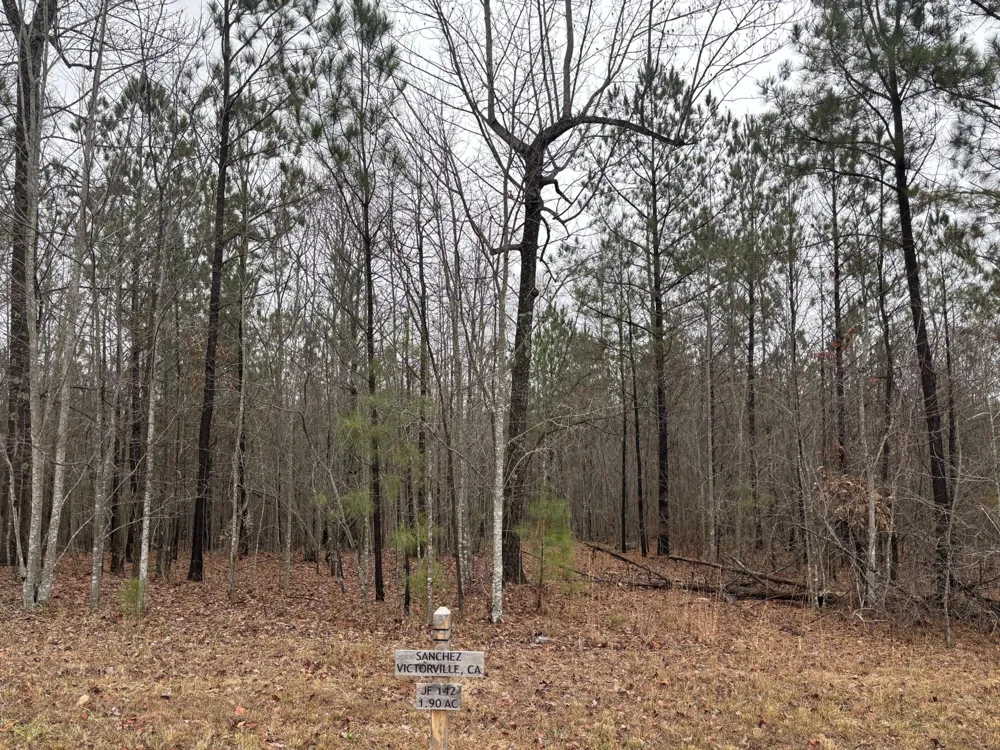 3699 Crockett Pointe Jasper, TN 37347