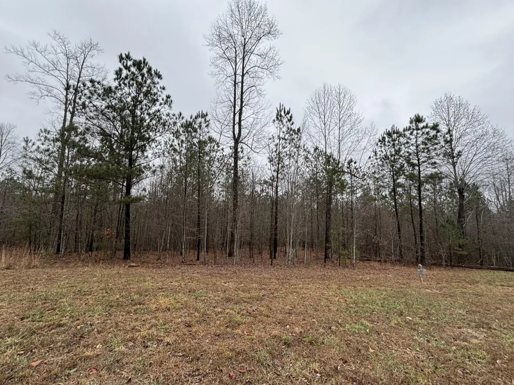 3699 Crockett Pointe Jasper, TN 37347