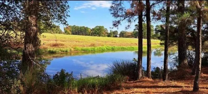 Pr 1313 Centerville, TX 75833