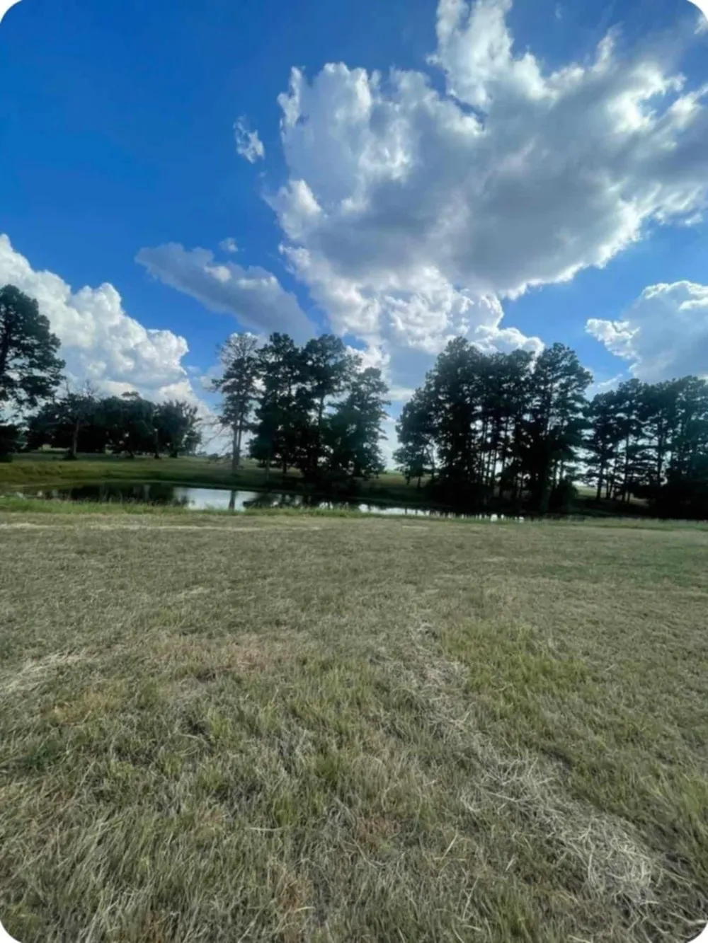 Pr 1313 Centerville, TX 75833