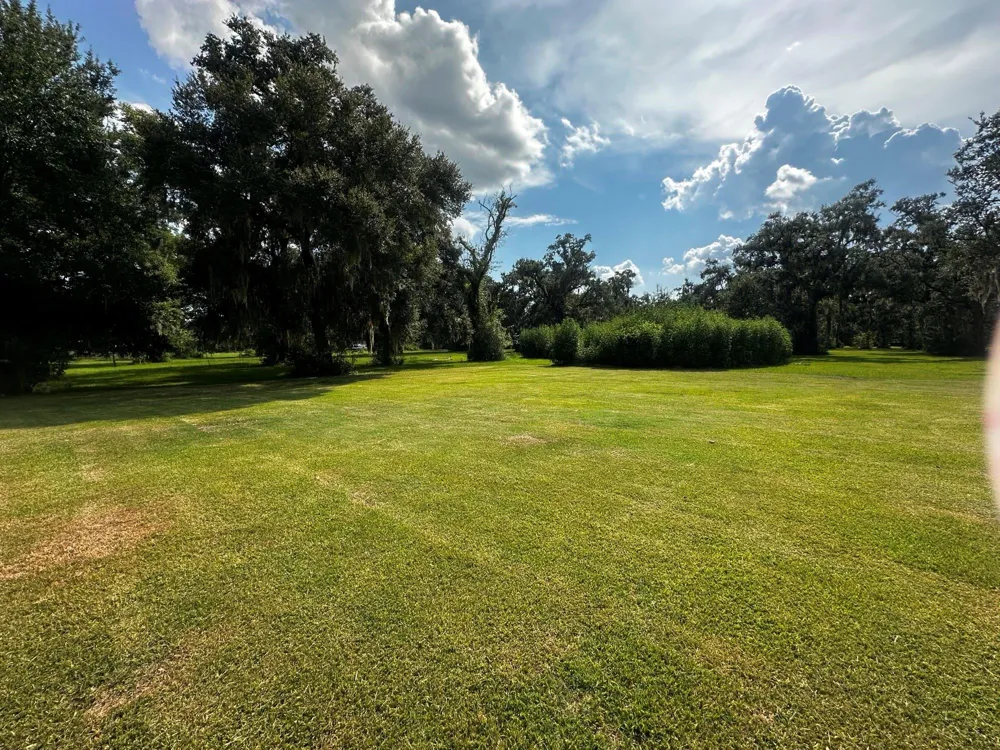4865 County Road 842 Brazoria, TX 77422
