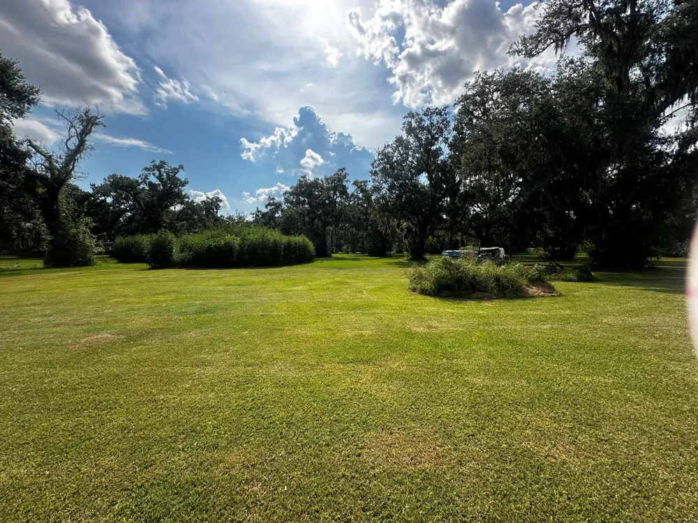 4865 County Road 842 Brazoria, TX 77422