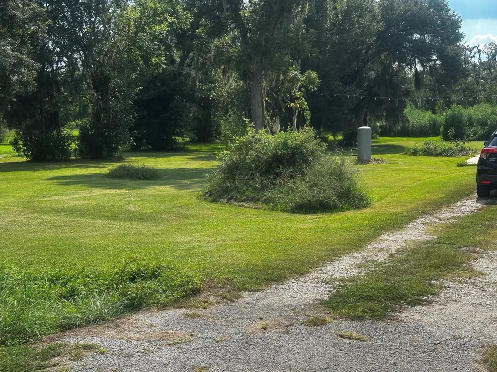 4865 County Road 842 Brazoria, TX 77422