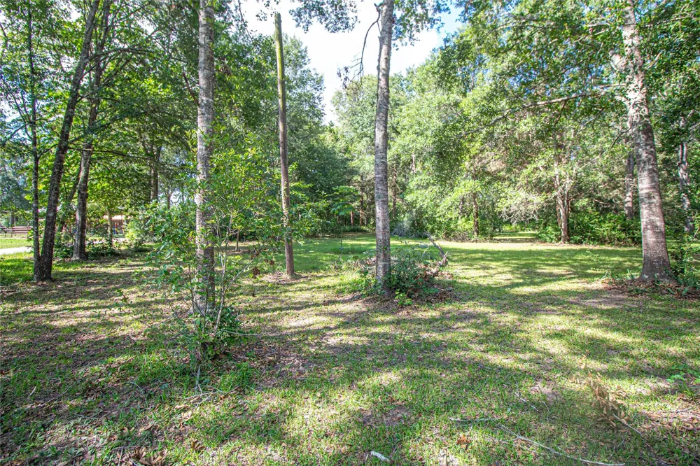 10500 Highway 150 Shepherd, TX 77371