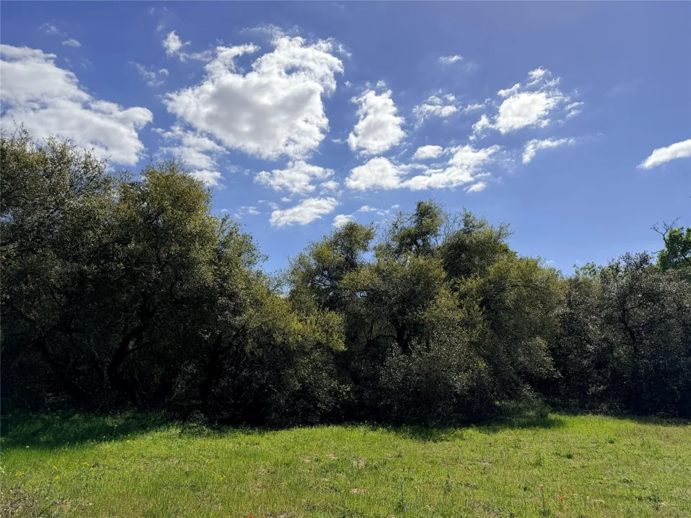 Loose Cow Road Garwood, TX 77442