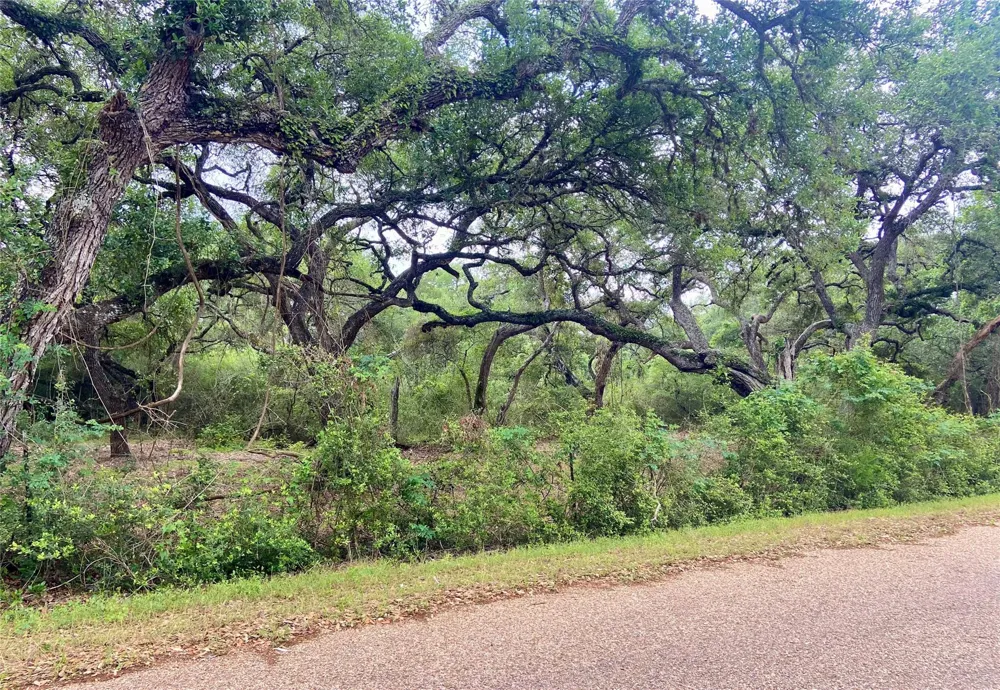 Loose Cow Road Garwood, TX 77442