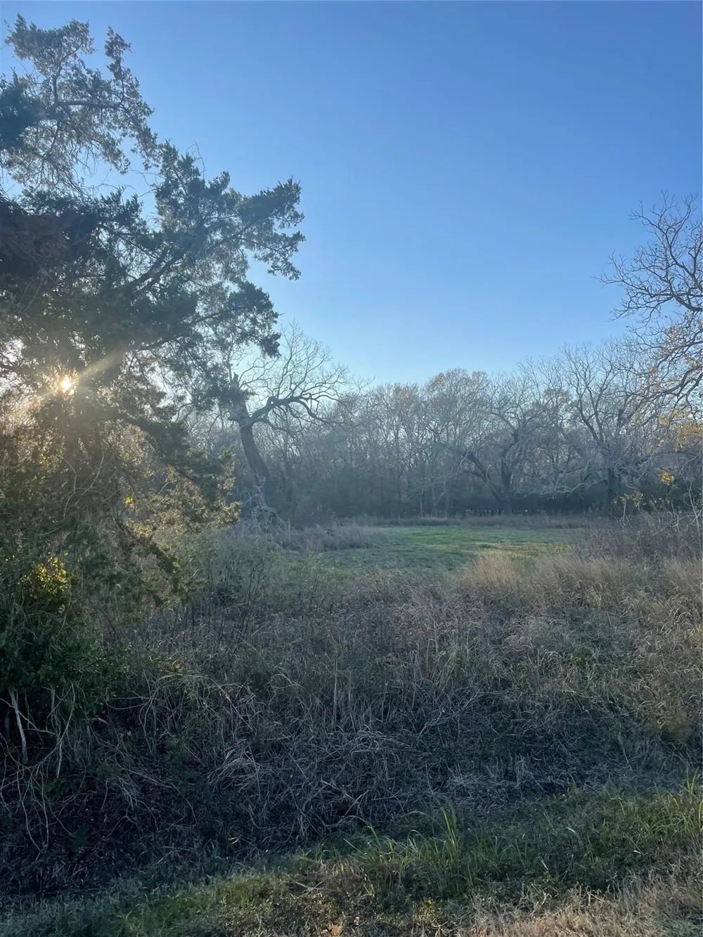 County Road 428 Wharton, TX 77488