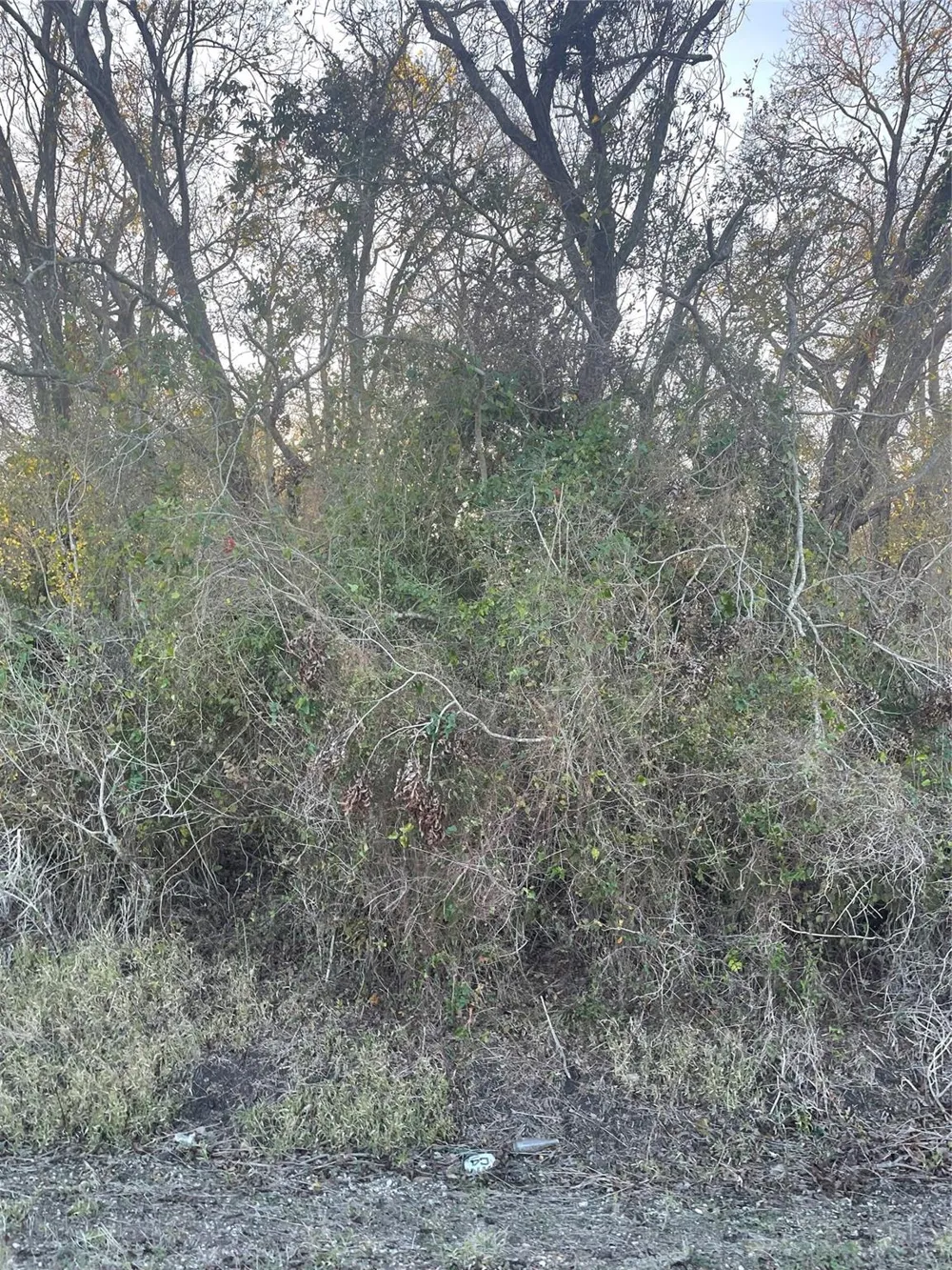 County Road 428 Wharton, TX 77488