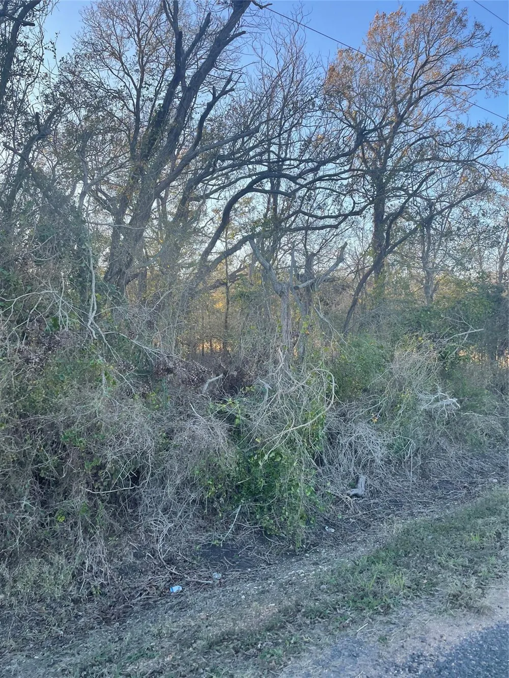 County Road 428 Wharton, TX 77488
