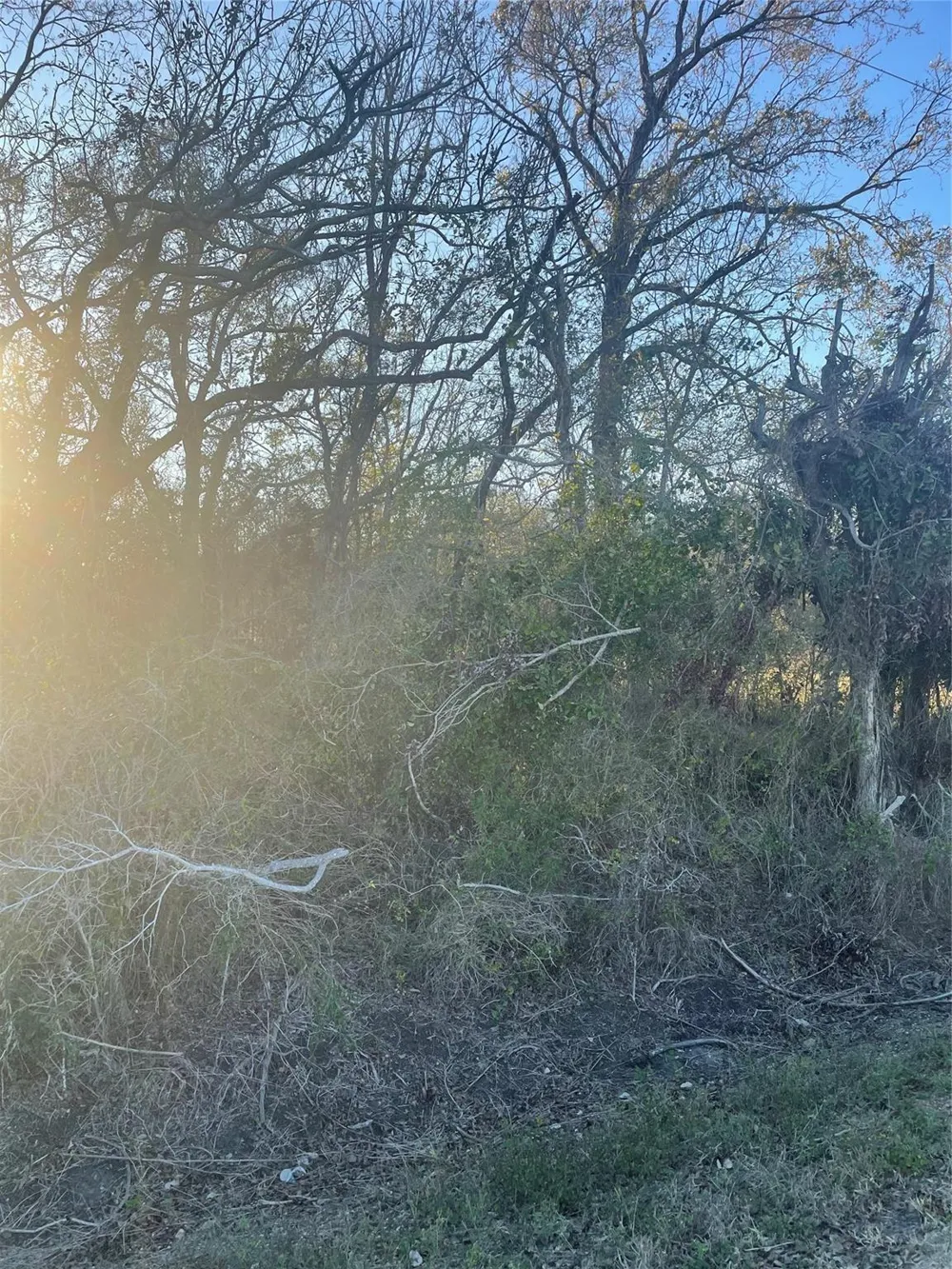 County Road 428 Wharton, TX 77488