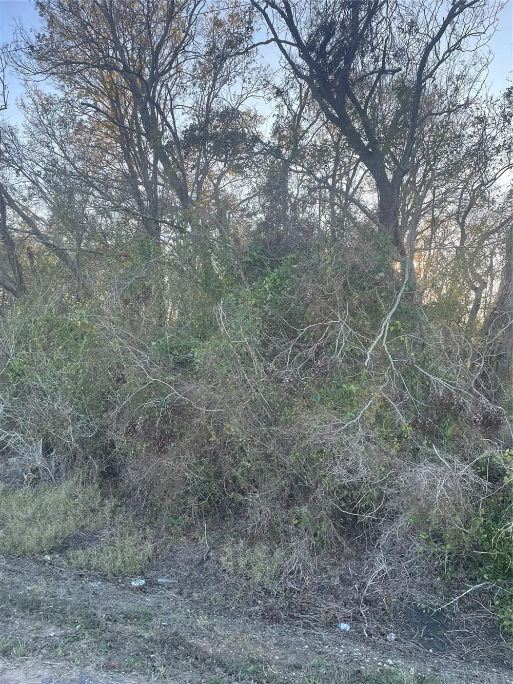 County Road 428 Wharton, TX 77488