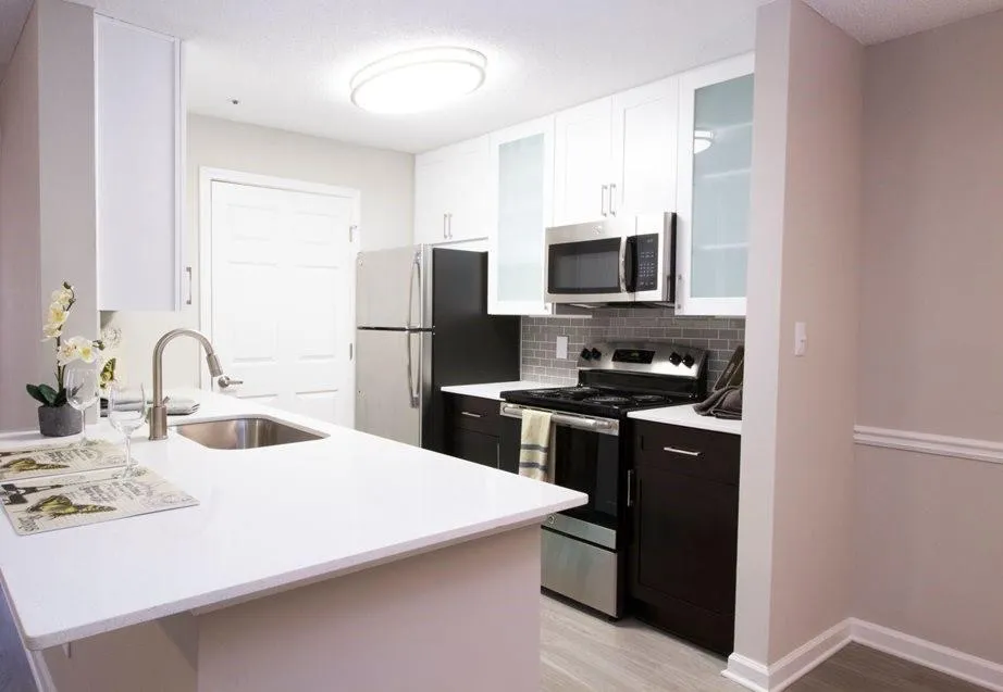 100 Ashford Gables Drive #1A-211 Dunwoody, GA 30338
