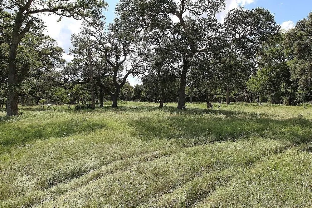 1801 Fm 1383 Schulenburg, TX 78956
