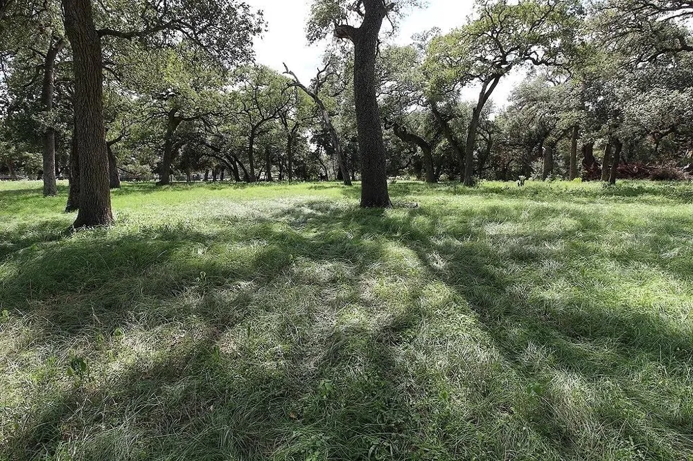 1801 Fm 1383 Schulenburg, TX 78956