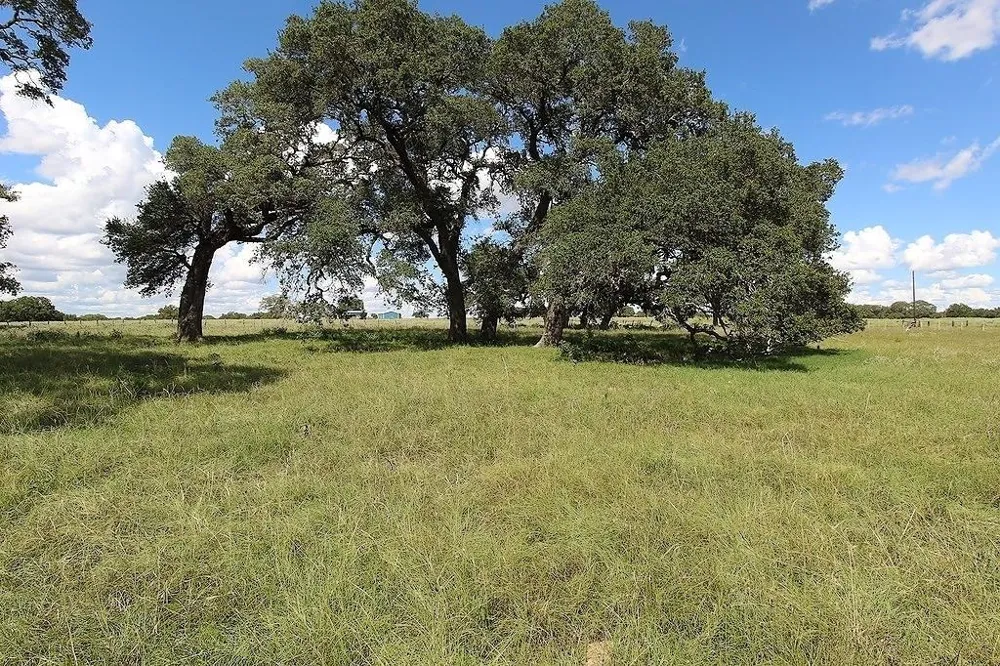 1801 Fm 1383 Schulenburg, TX 78956