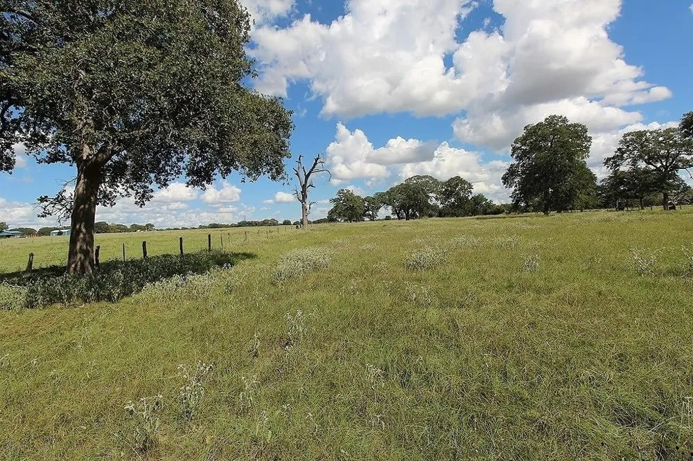 1801 Fm 1383 Schulenburg, TX 78956