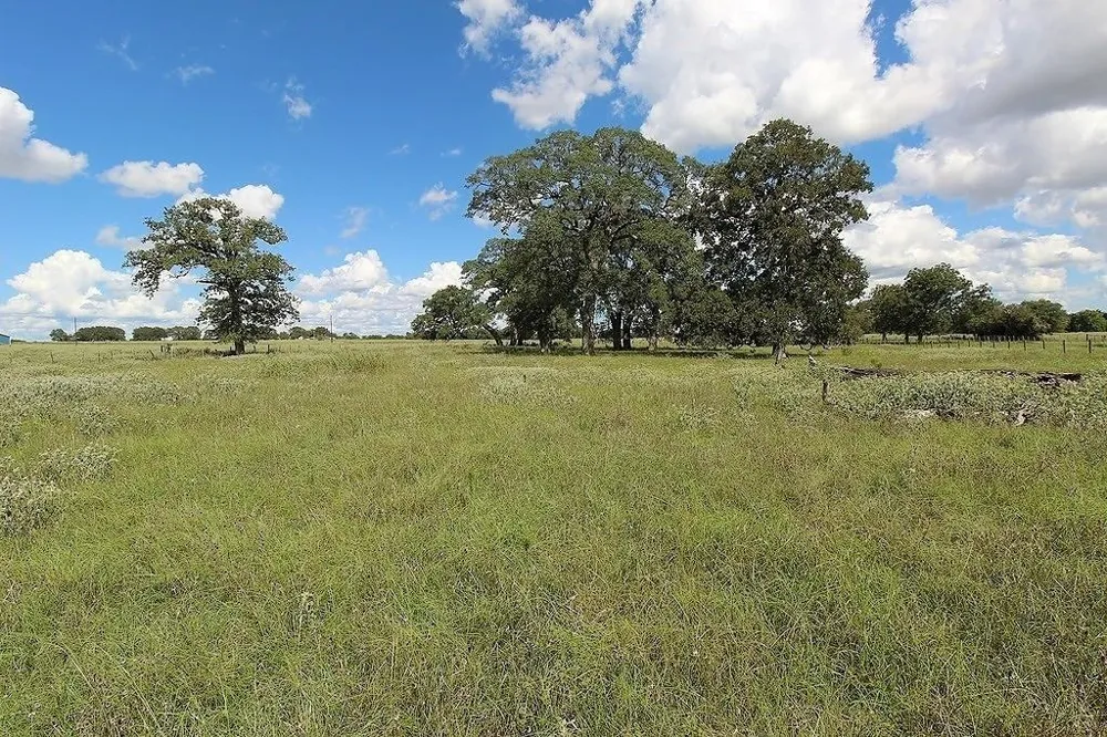 1801 Fm 1383 Schulenburg, TX 78956