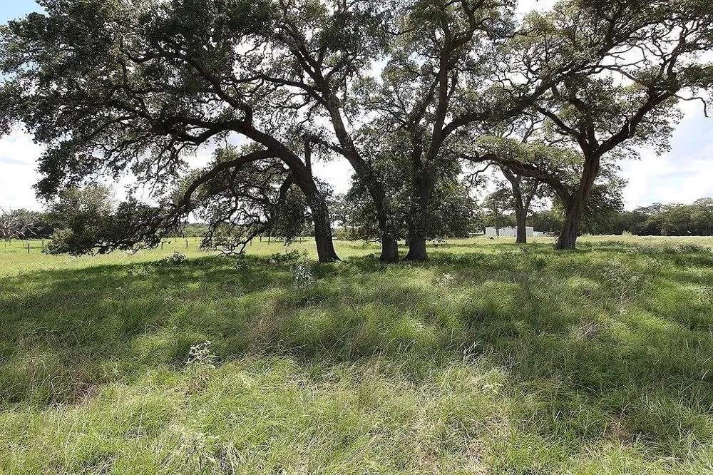 1801 Fm 1383 Schulenburg, TX 78956