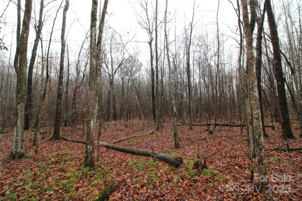 4.63+/-AC Eaker Road #LOT 2 Bessemer City, NC 28016